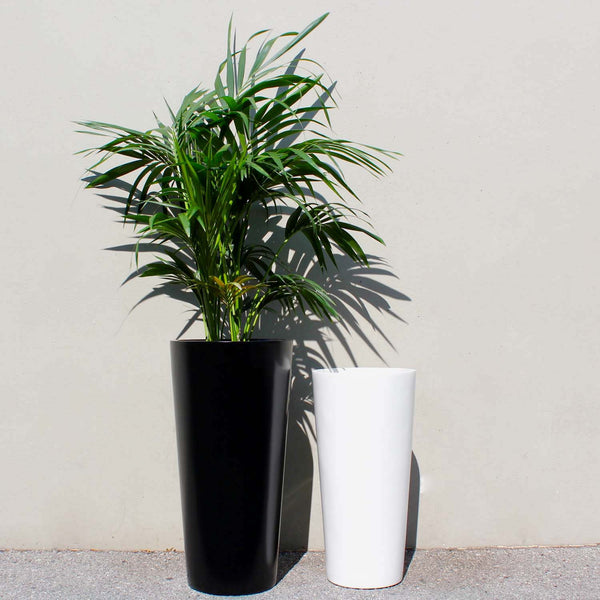 http://www.rootandstockco.com/cdn/shop/products/root-and-stock-sonoma-tall-black-white-round-cylinder-planter-lifestyle_grande.jpeg?v=1678126105